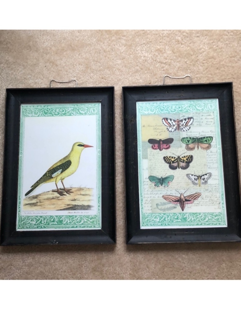 John Derian for Target Set of 3 Framed Prints